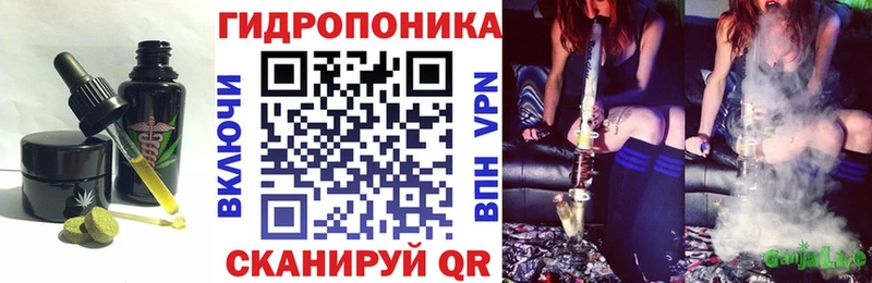 Еда ТГК конопля  где купить наркоту  Бородино 