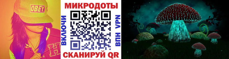 kraken tor  где продают   Бородино  Псилоцибиновые грибы Psilocybine cubensis 