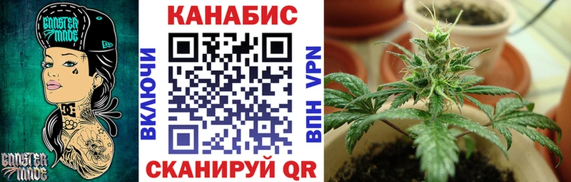 МАРИХУАНА сатива Бородино